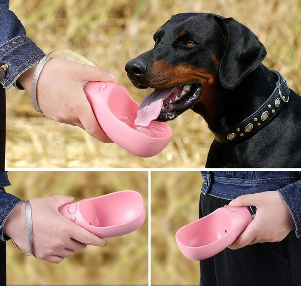 Garrafa Bebedouro Portátil 550ml